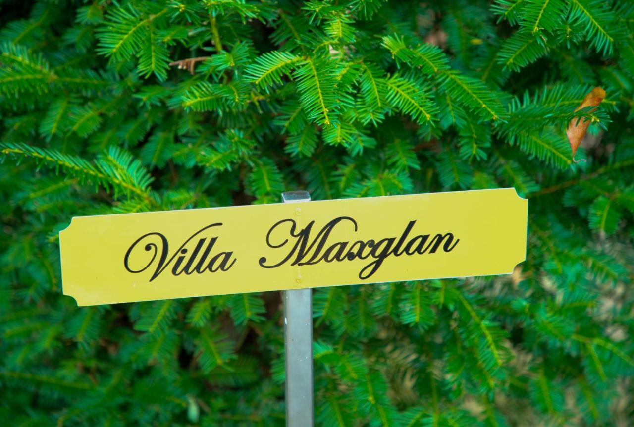 Villa Maxglan سالزبورغ المظهر الخارجي الصورة